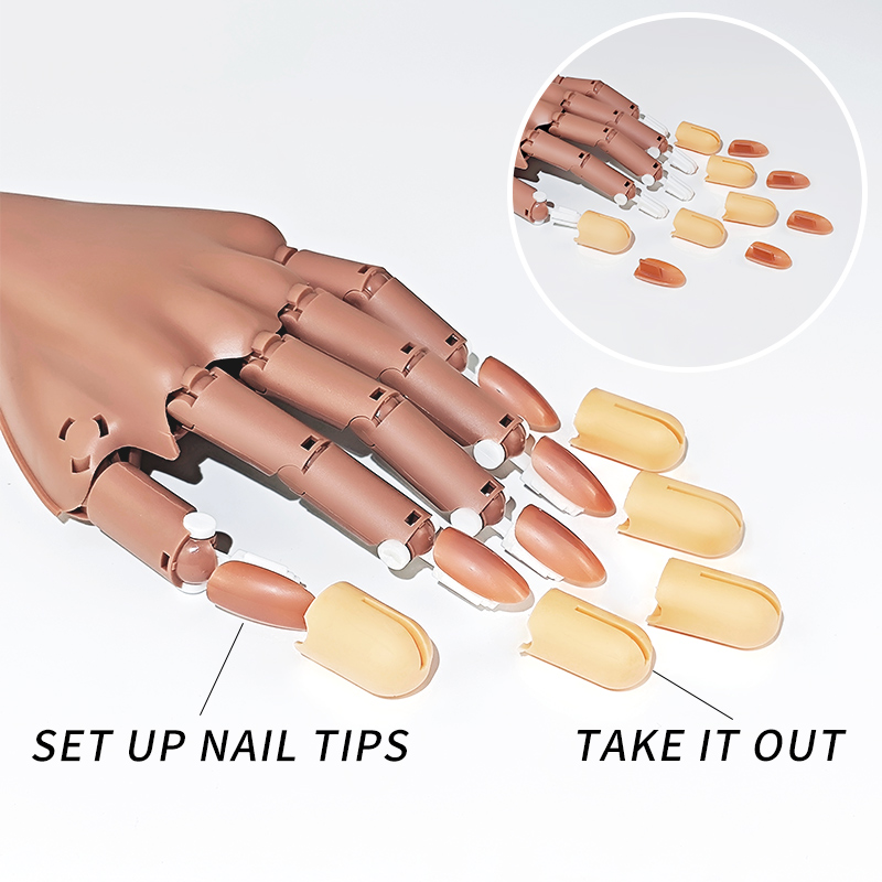 Nail Fake Practice Hand Movabl - Vet Tech Accessories ulasan dan harga