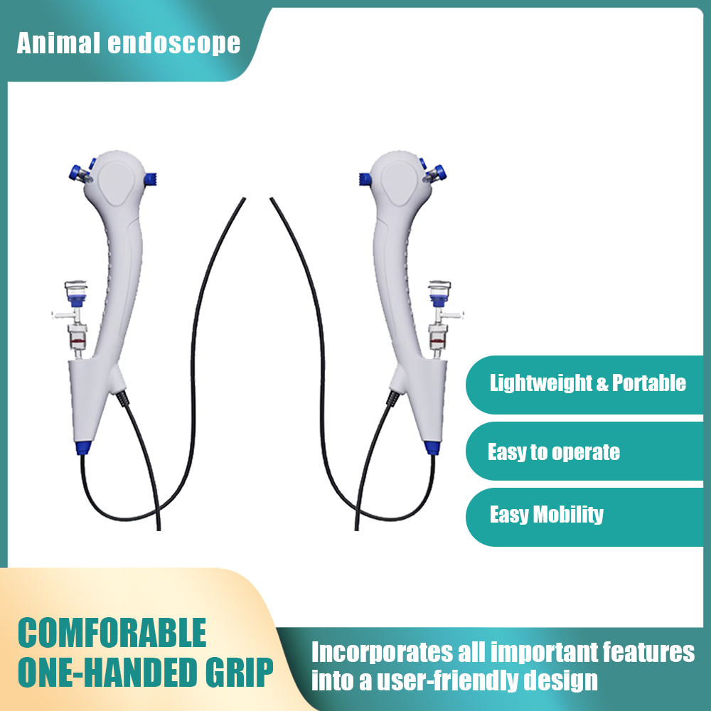 Flexible Endoscopy, 1.95mm/2.5 - Vet Tech Accessories ulasan dan harga